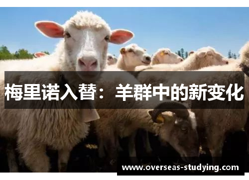 梅里诺入替：羊群中的新变化